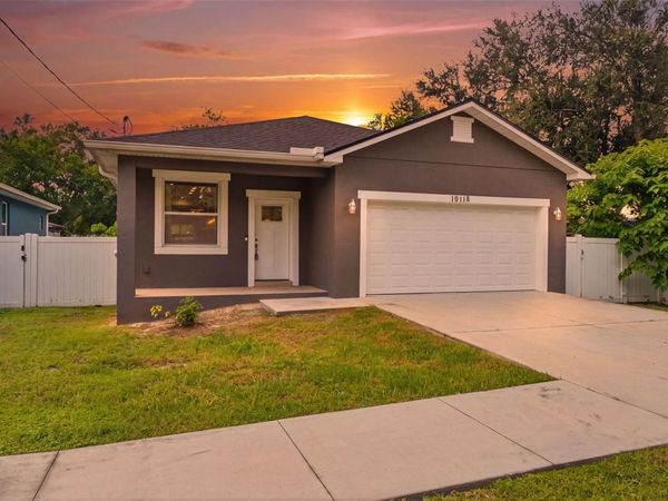 10118 N BROOKS STREET , TAMPA, FL 33612