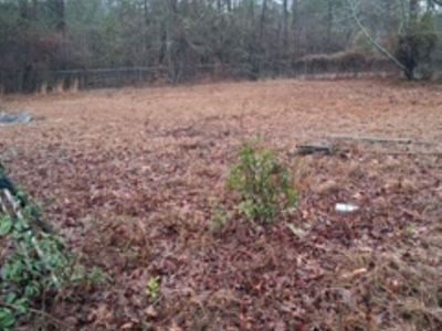 114 Burnt Pine Court , Leesville, SC 29070