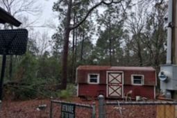 114 Burnt Pine Court  photo 4
