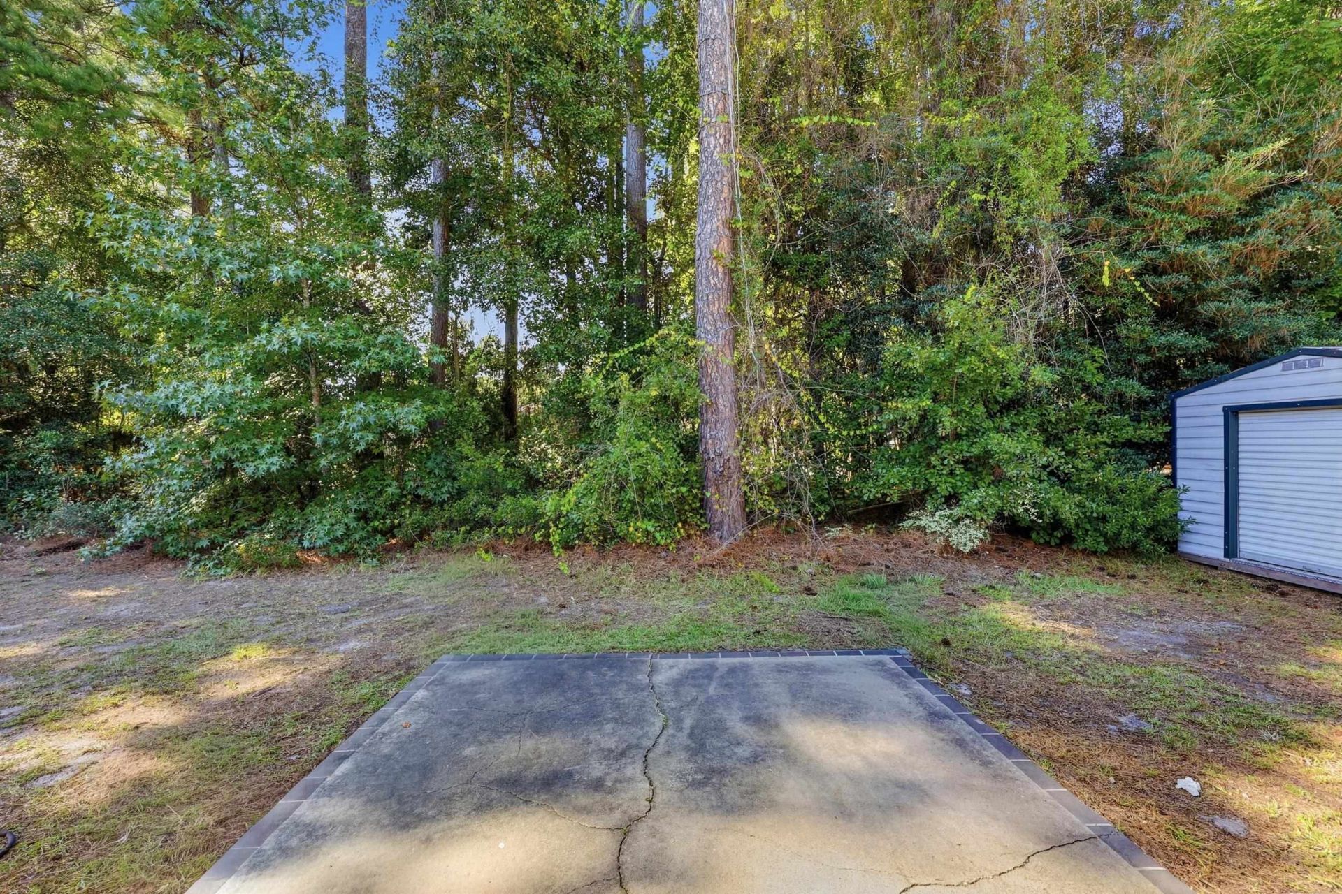 180 Quail Run Dr.  Photo 6