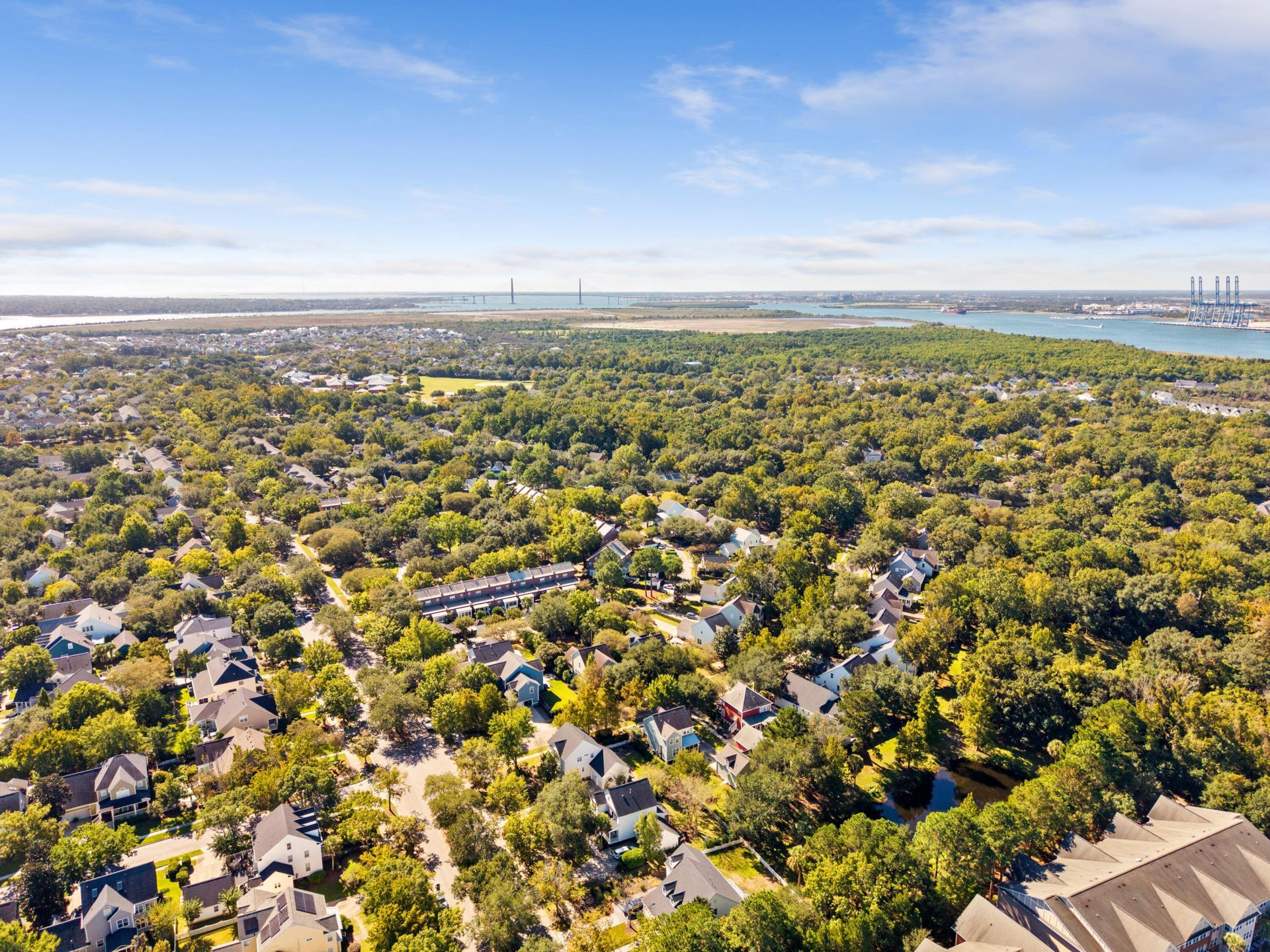2213 Daniel Island Drive Photo 44