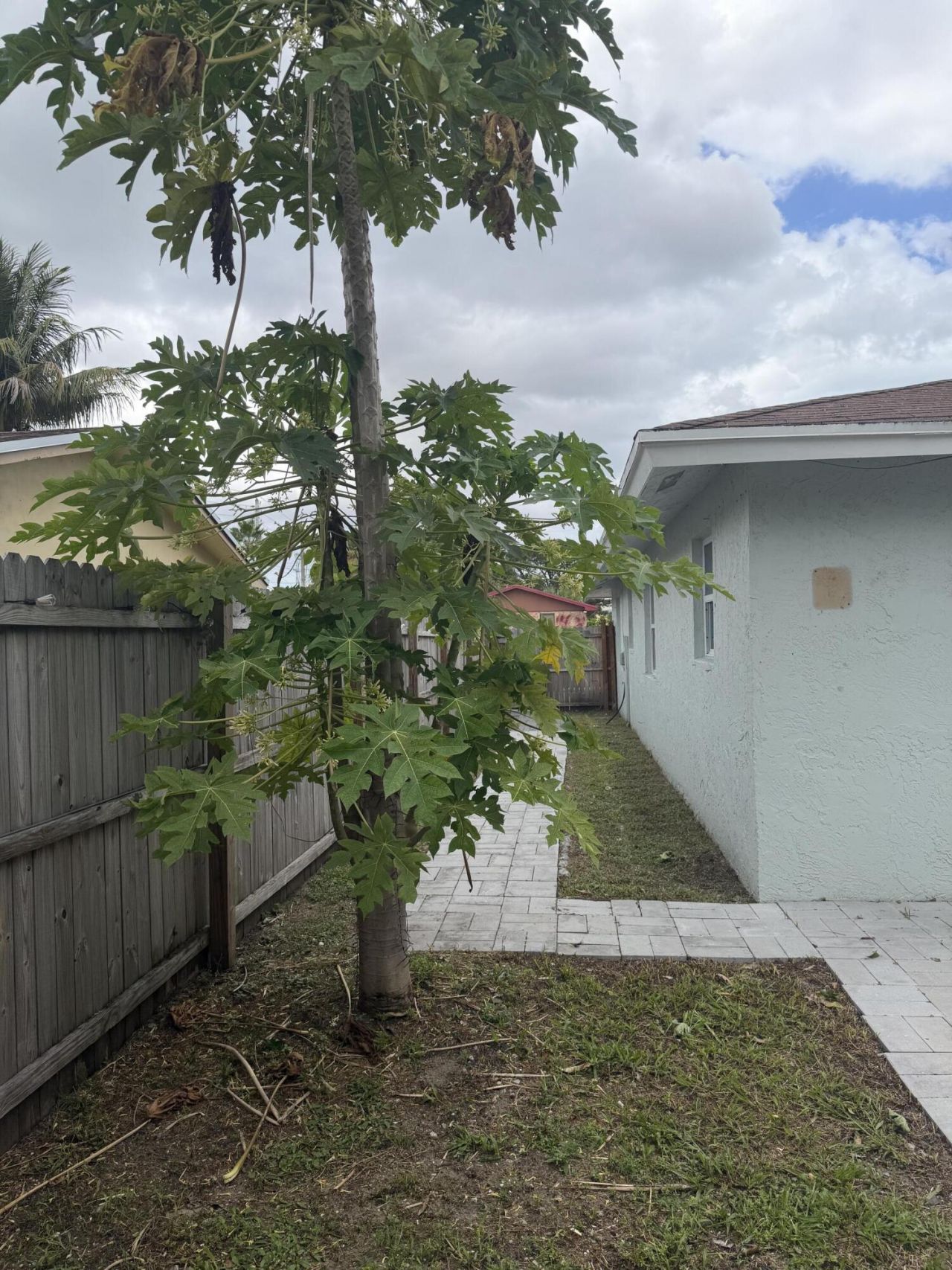 1679 W 16th Street, Riviera Beach, FL 33404 Photo
