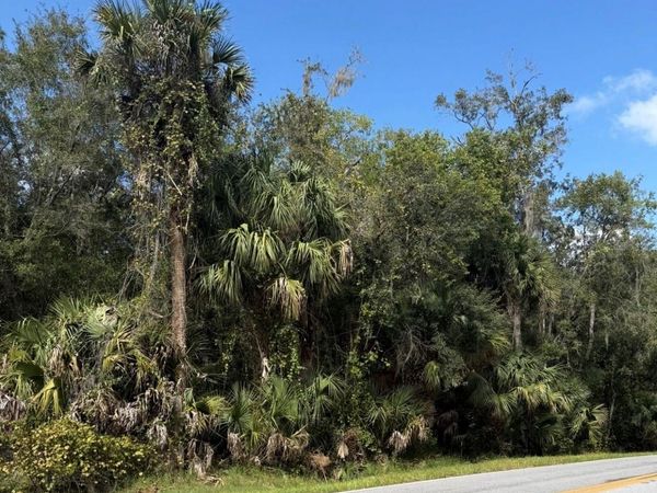 OLD KISSIMMEE ROAD, DAVENPORT, FL 33896