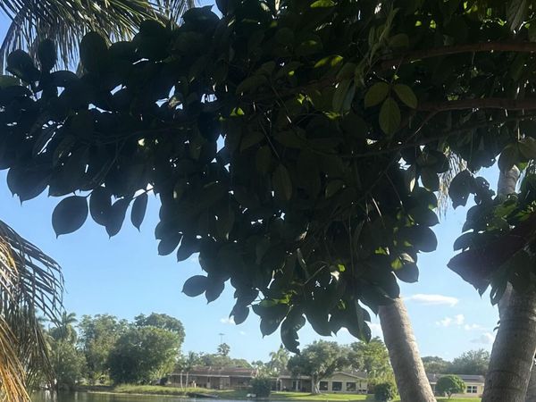 551 NW 99TH Way, Pembroke Pines, FL 33024