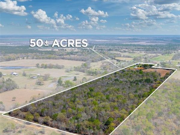 48 County Road 2360 , Bagwell, TX 75412