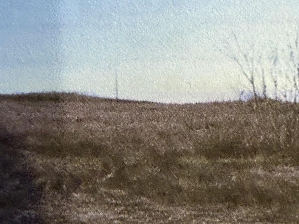 Cedar Falls, IA 50613