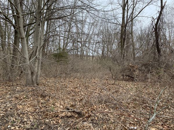 2800 Bristol Avenue NW, Unit LOT B, Grand Rapids, MI 49544