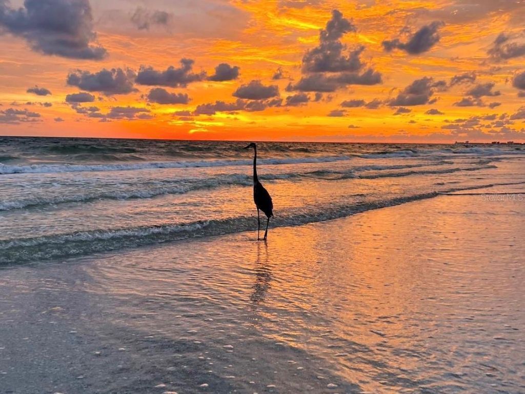 8300 W Gulf Boulevard, Treasure Island, FL 33706 Photo