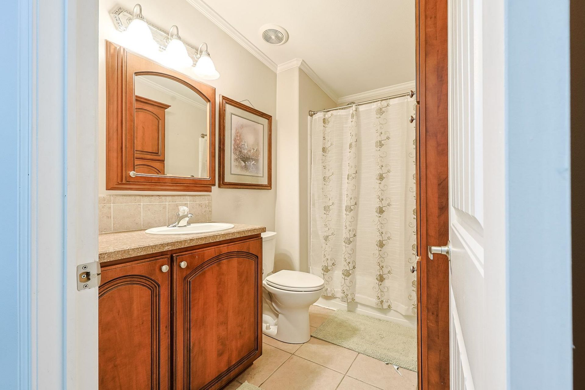 137 Wellspring Dr.  Photo 31
