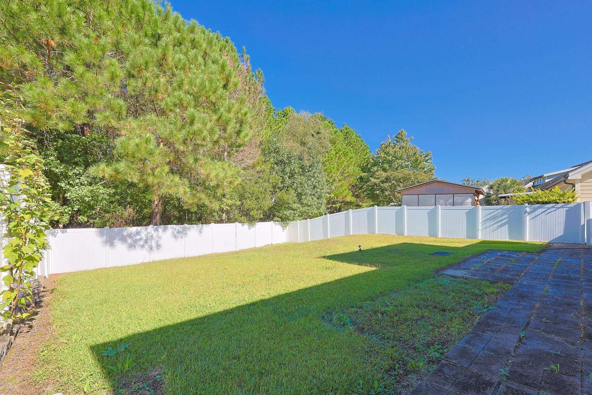 238 Tall Palms Way Photo 43