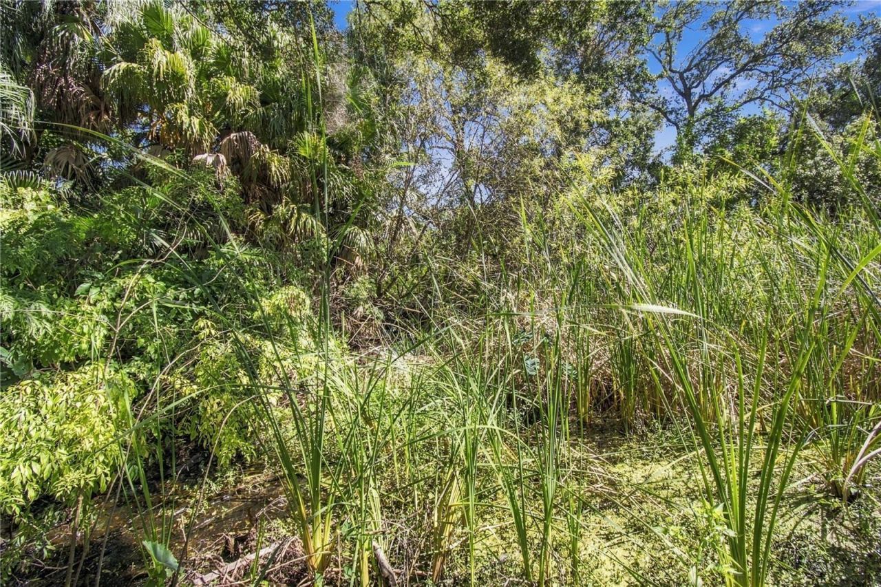 12805 98th Street , Largo, FL 33773 Photo