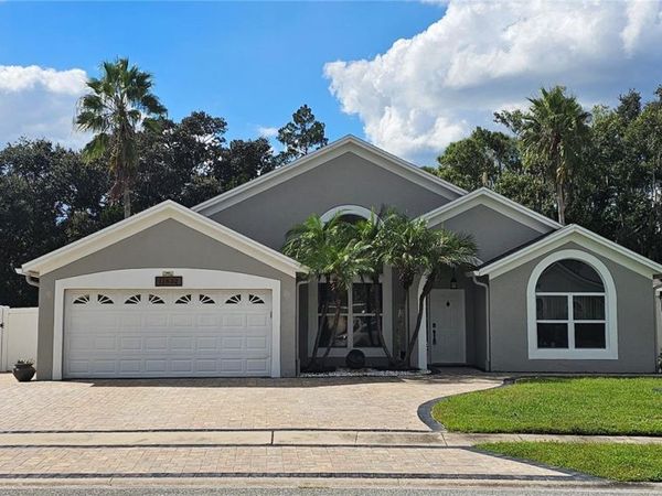 11832 DANESWOOD COURT , ORLANDO, FL 32821