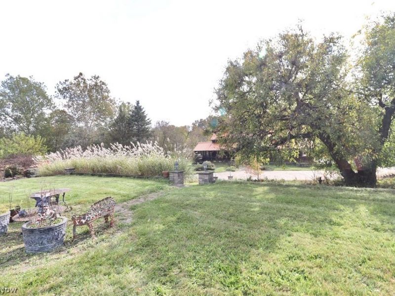 9156 Chippewa Road, Lodi, OH 44254 Photo 38