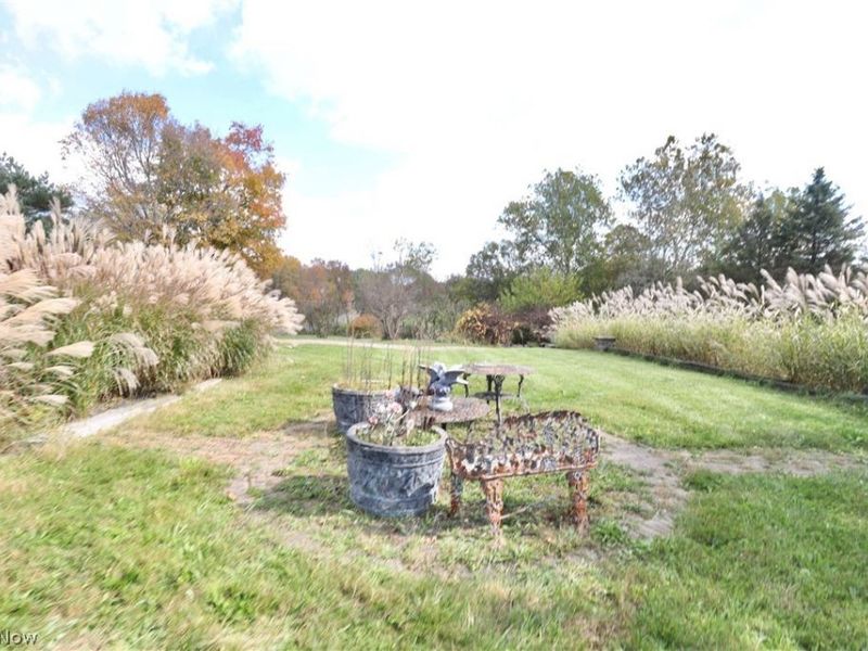 9156 Chippewa Road, Lodi, OH 44254 Photo 40