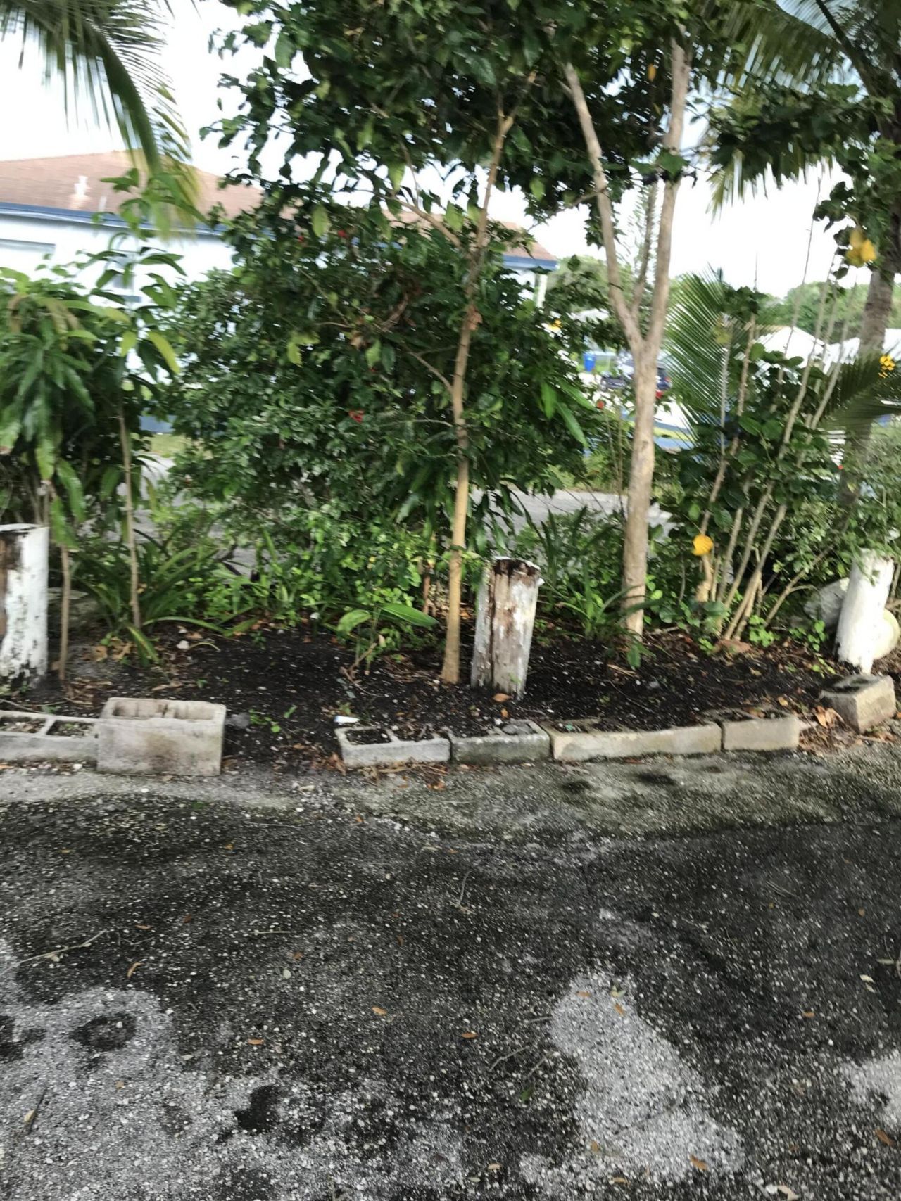 1200 W 33rd Street E, Riviera Beach, FL 33404 Photo
