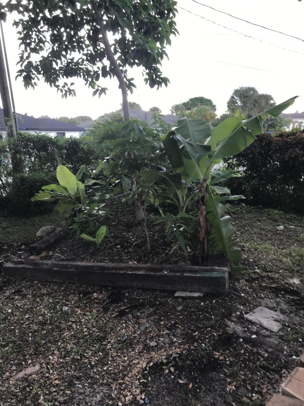 1200 W 33rd Street E, Riviera Beach, FL 33404 Photo