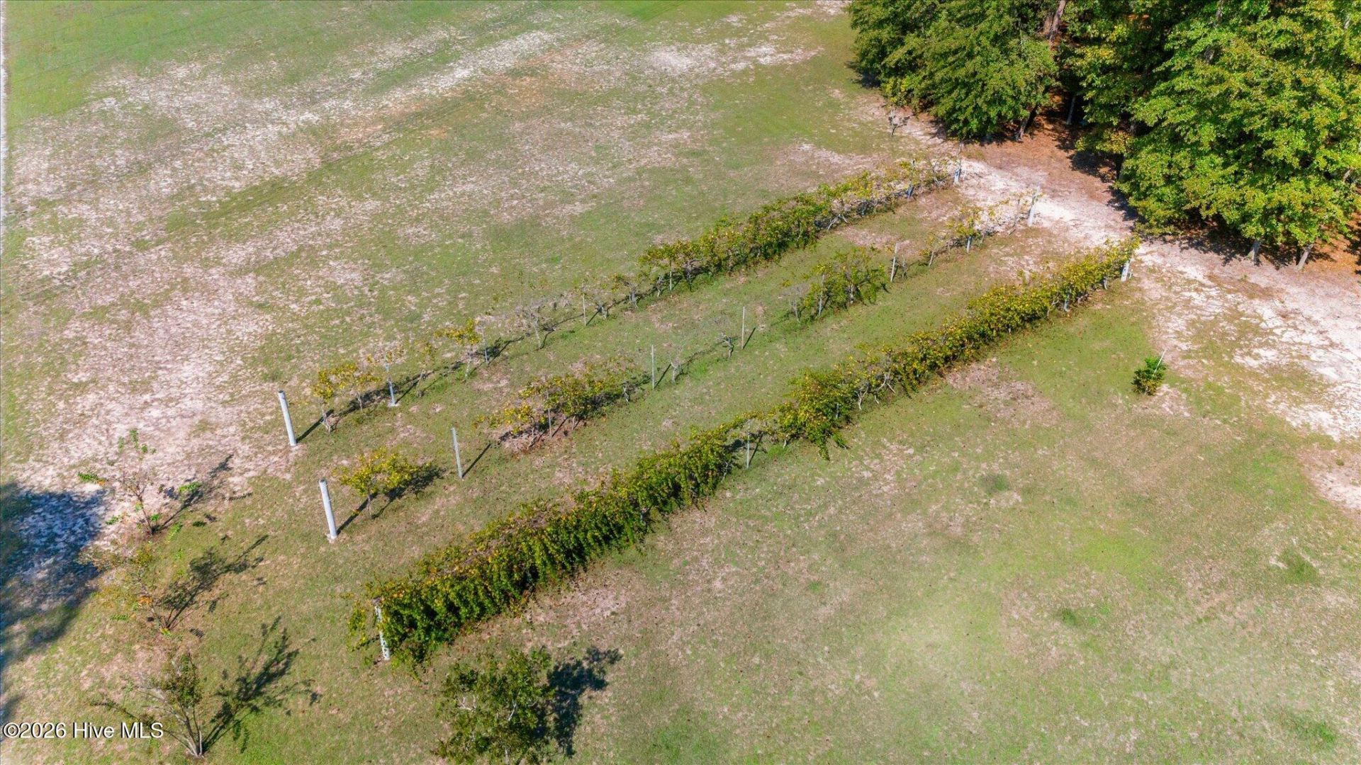 182 Boyd Pond Road  Photo 55