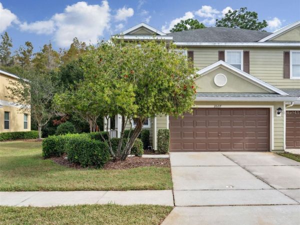 20217 INDIAN ROSEWOOD DRIVE , TAMPA, FL 33647
