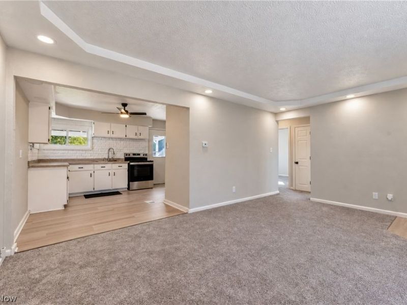 345 N Edgehill Avenue, Austintown, OH 44515 Photo 11