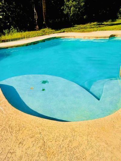 12377 77th Place N, The Acreage, FL 33412 Photo