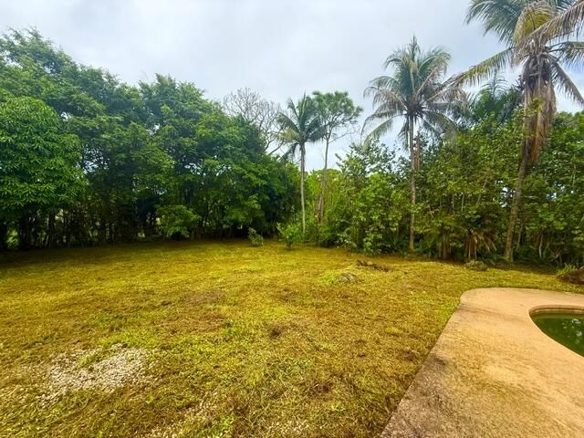 12377 77th Place N, The Acreage, FL 33412 Photo