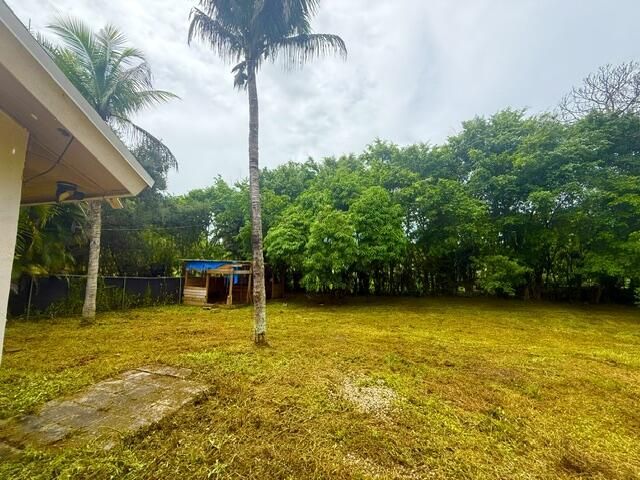 12377 77th Place N, The Acreage, FL 33412 Photo