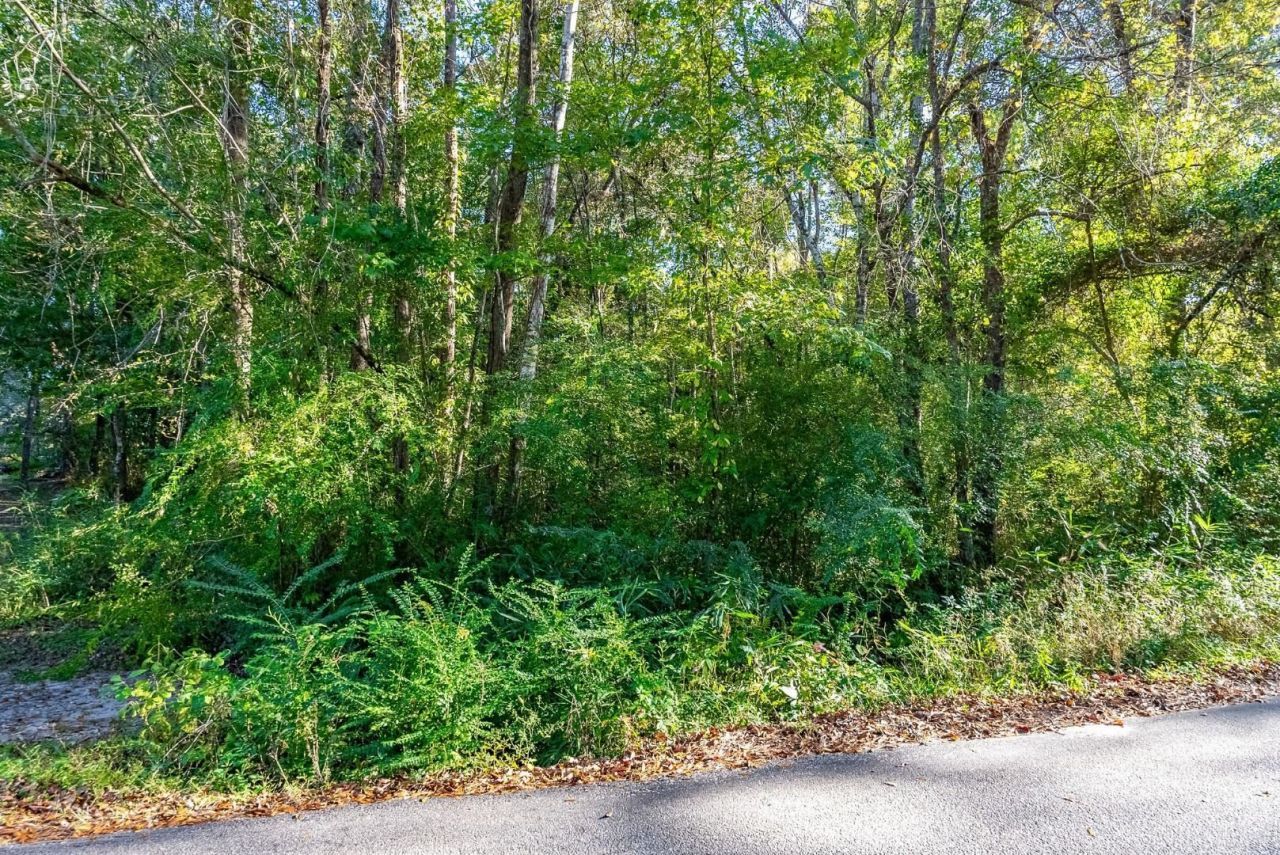 Tbd Barnes Rd.  Photo 12