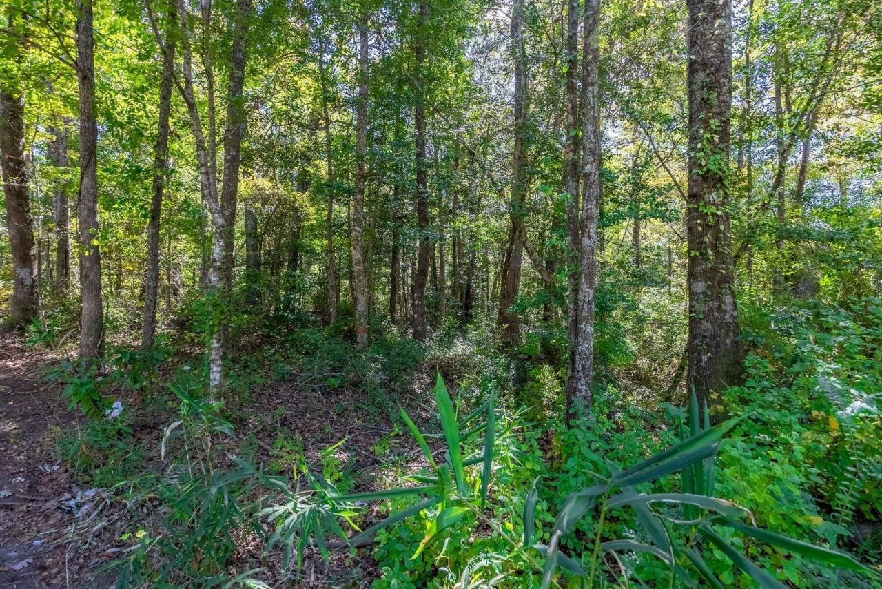 Tbd Barnes Rd.  Photo 17
