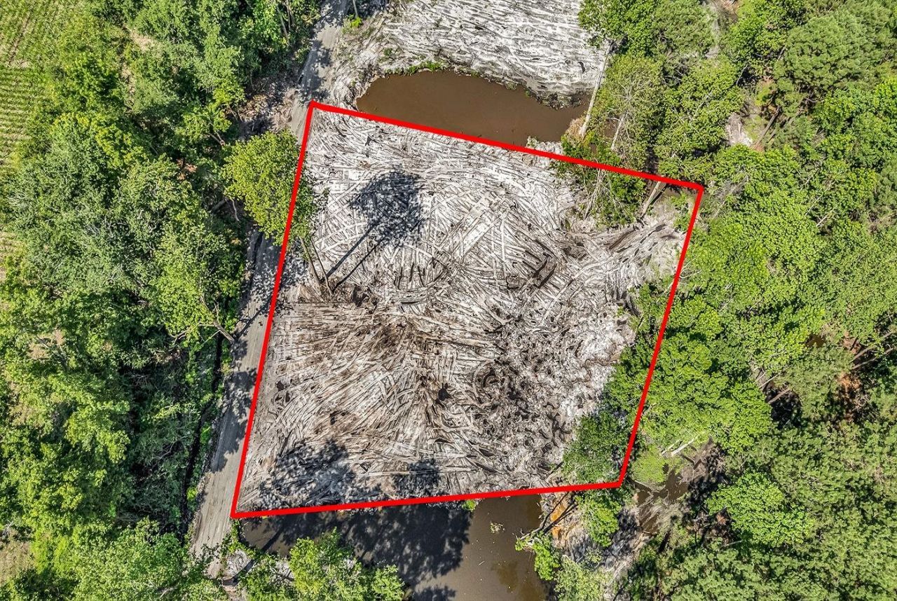 Tbd Lot 2 Coats Rd.  Photo 7