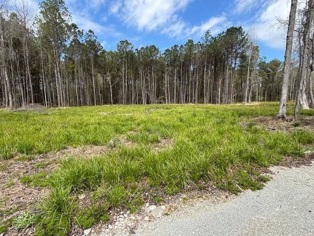 Tbd Lot 2 Coats Rd.  Photo 8