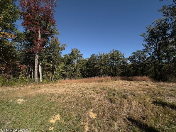 117 Fox Run Court, Monterey, TN 38574