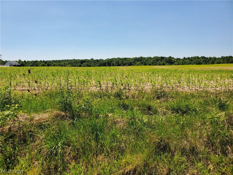 Nash Road, Middlefield, OH 44062 Photo 1