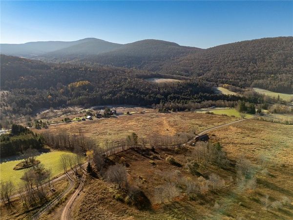 Lot 22 Reinertsen Hill Road , Bovina Center, NY 13740