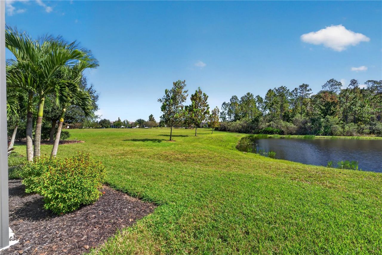 4264 Epic Cove, Land O Lakes, FL 34638 Photo