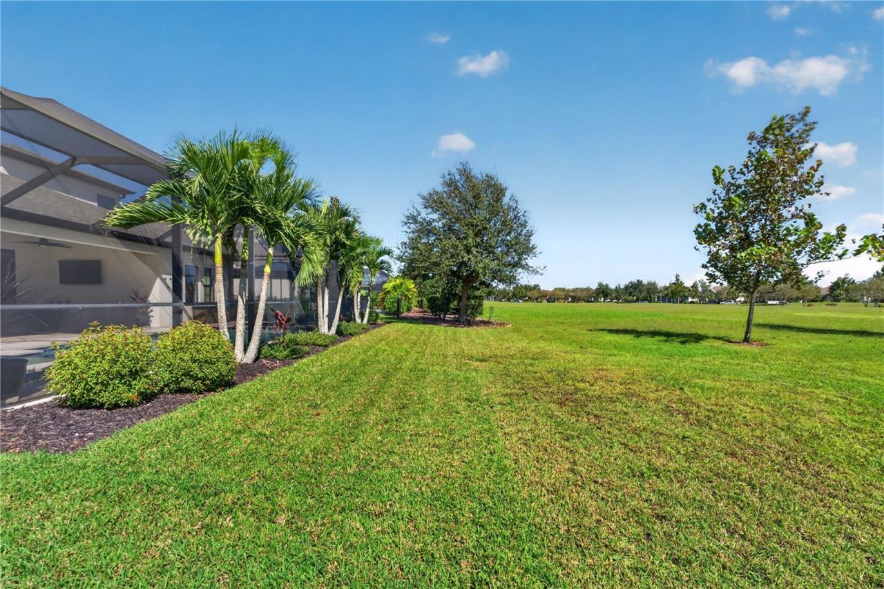 4264 Epic Cove, Land O Lakes, FL 34638 Photo