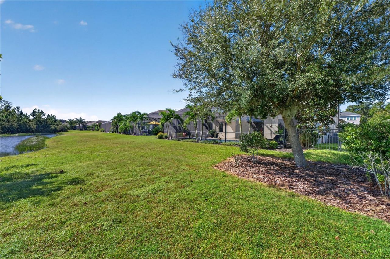 4264 Epic Cove, Land O Lakes, FL 34638 Photo