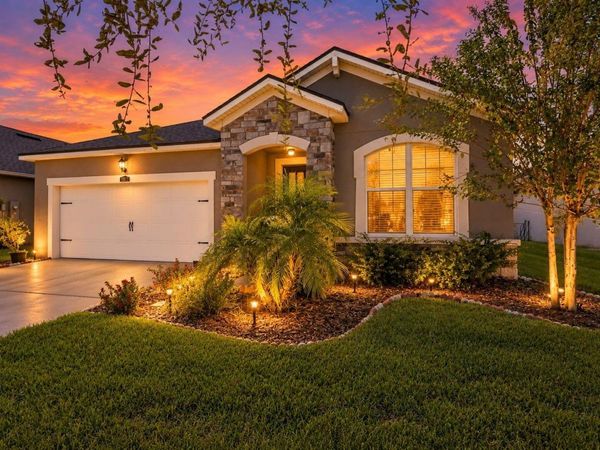 11417 BLUE WOODS DRIVE , RIVERVIEW, FL 33569