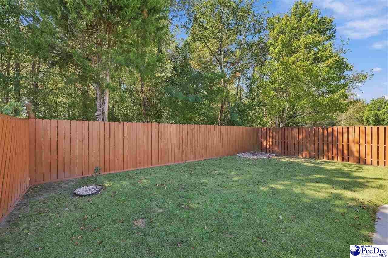 2133 Harbour Lane Photo 27