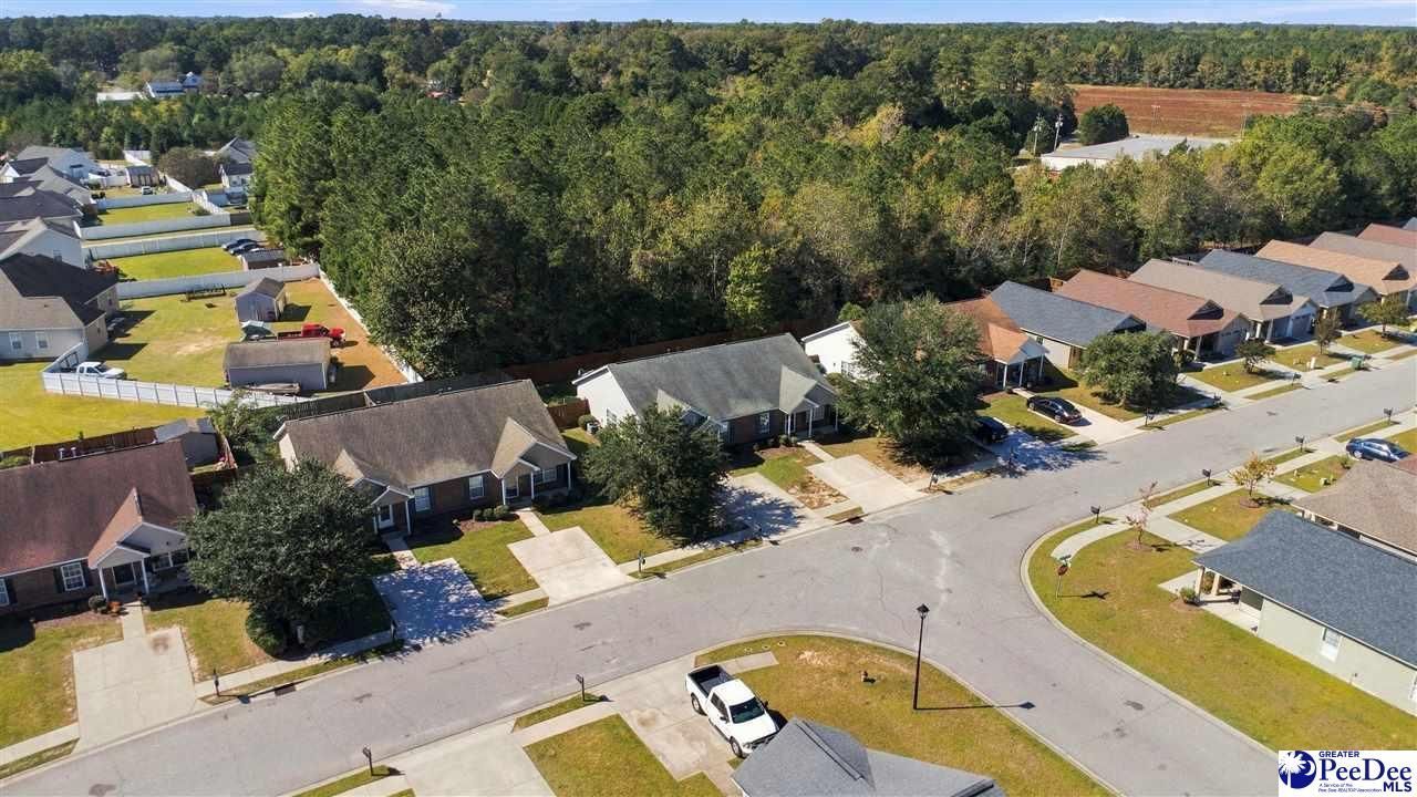 2133 Harbour Lane Photo 31