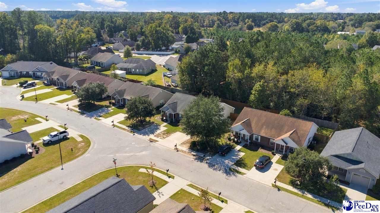 2133 Harbour Lane Photo 32