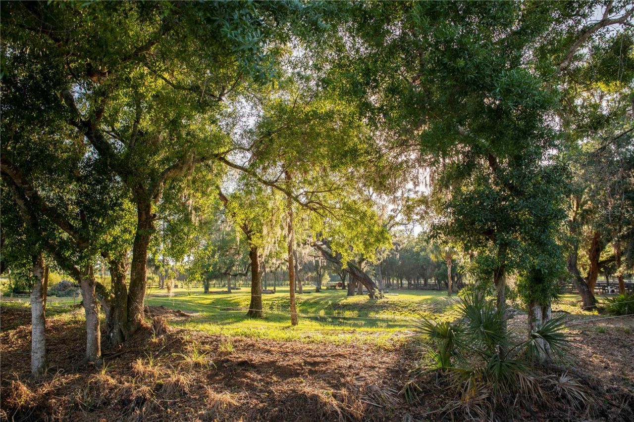 7710 Cow Camp Lane, Sarasota, FL 34240 Photo