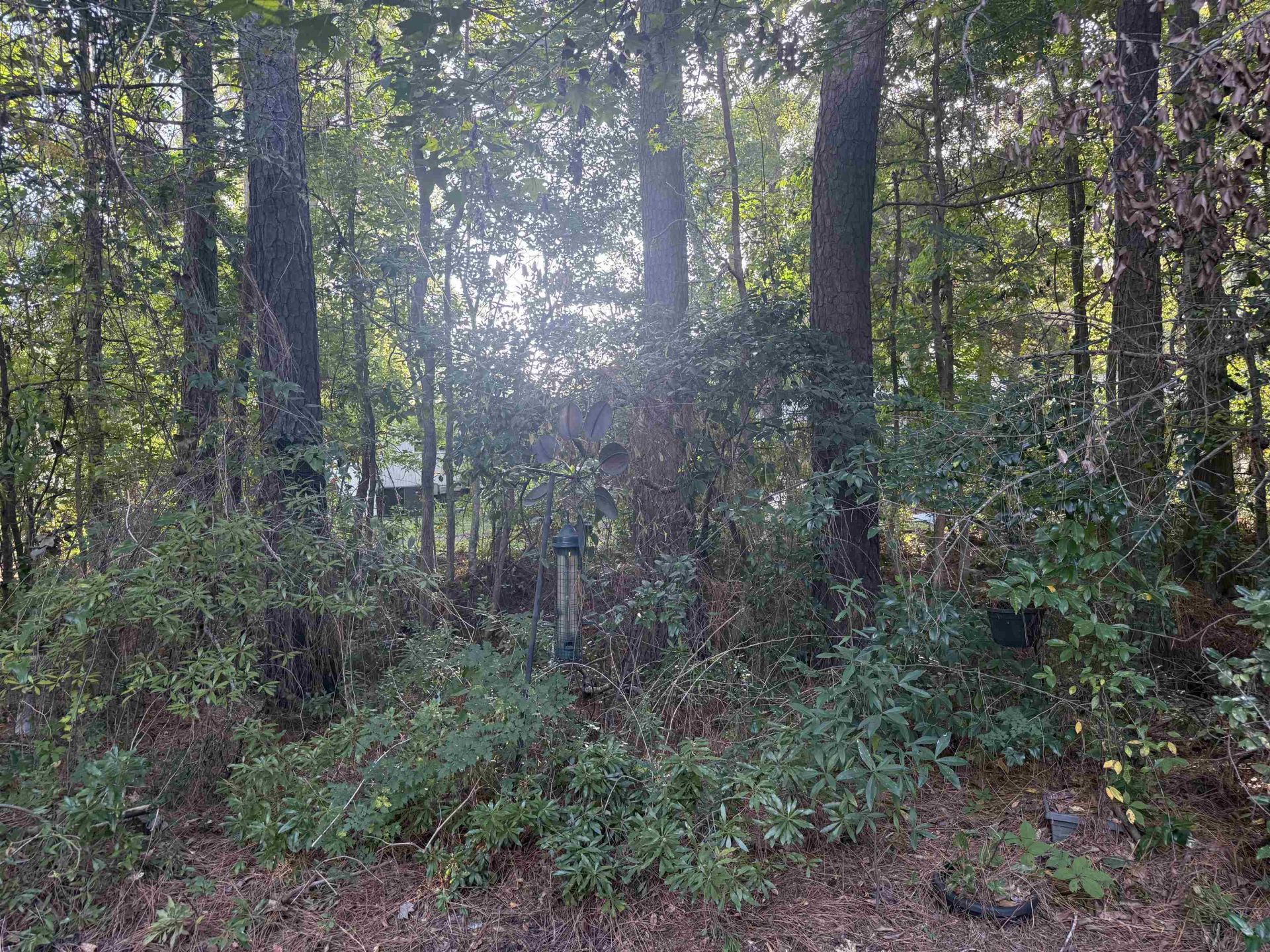 619 Mcgee Dr. Photo 17