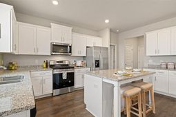 414 Wild Olive Drive photo 4