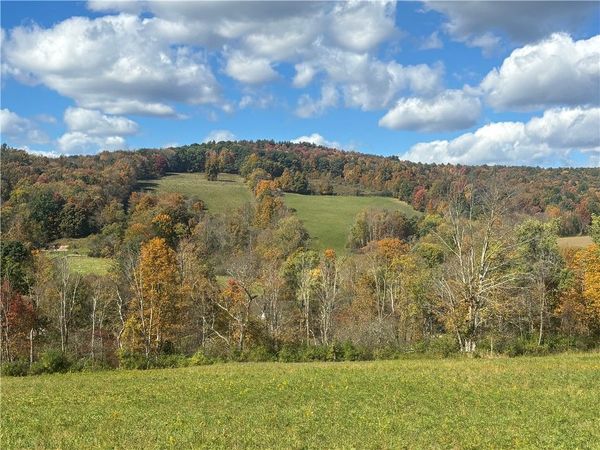 453 Triverfield Road , Sidney, NY 13838