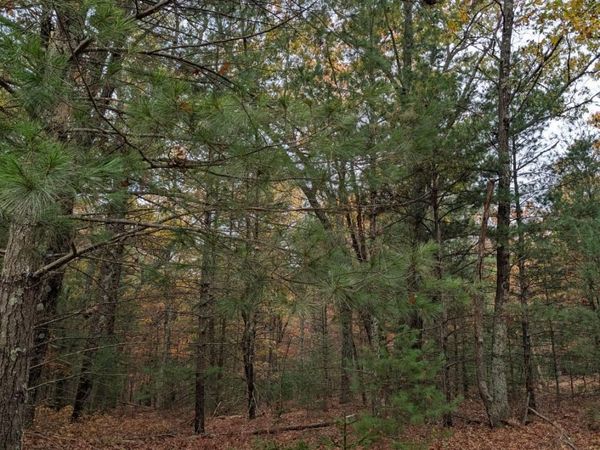 V/L W Crystal Lake Road, Whitehall, MI 49461