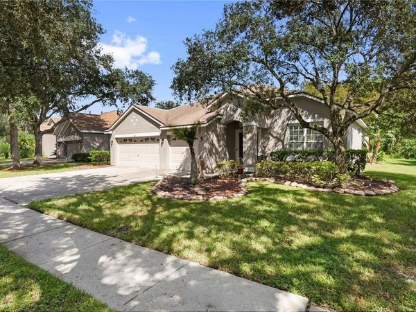 8121 BRINEGAR CIRCLE , TAMPA, FL 33647