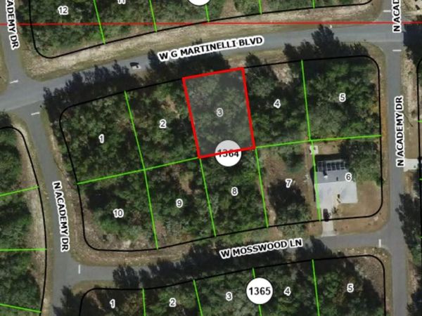 1402 W G MARTINELLI BOULEVARD , CITRUS SPRINGS, FL 34434