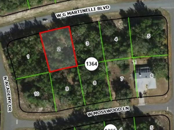 1424 W G MARTINELLI BOULEVARD , CITRUS SPRINGS, FL 34434