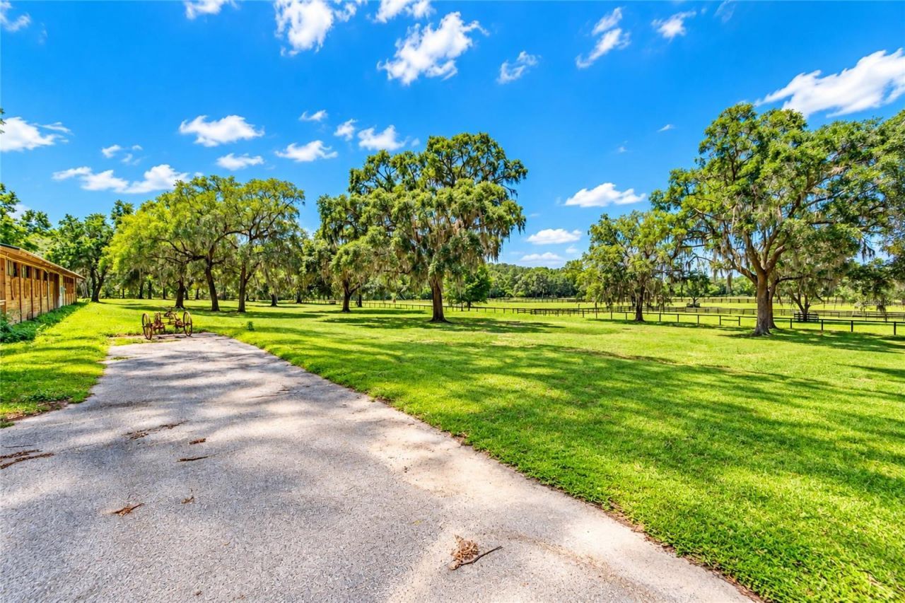 12100 NW 110th Avenue, Reddick, FL 32686 Photo