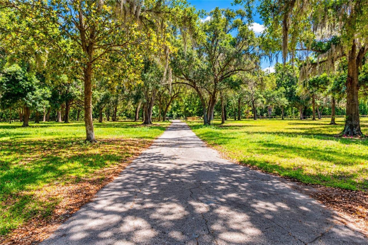 12100 NW 110th Avenue, Reddick, FL 32686 Photo